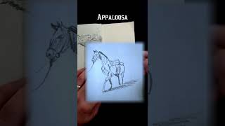 Arthur LOVES Horses drawing rdr2 [upl. by Bolten]