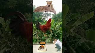 fish hen cow goat baz lion shorts video [upl. by Yekcor]