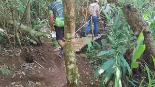 Vídeo da 11ª Caminhada na Natureza de FaxinalMarilândia do Sul  rio e trilha 10112024 [upl. by Hanauq120]