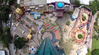 Falcons Fury POV Drop ridethrough at Busch Gardens Tampa [upl. by Maon]