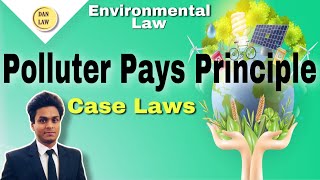 Polluter Pays Principle  Environmental Law  Polluter pays Principle with case laws BY DA Nandan [upl. by Ladnor]