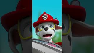 PAW Patrol  ¡Marshall se hace pequeño con el rayo encogedor de Ryder y Rocky Shorts [upl. by Yancy]