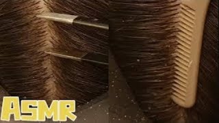 🎧ASMR｜Professionals solve scalp itching and inflammation problems asmr [upl. by Alohcin]