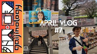 Chasing the last bit of sakura on a Saturday  Gaijin April Vlog 7 [upl. by Yseulte]