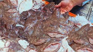 Shocking Seafood！Lots of Monkfish Catching inTaiwan Monk Fish Cooking 驚人港口海鮮！大量安康魚捕捉 台灣安康魚料理蘇澳漁港 [upl. by Anaiv]