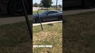 Chevy Camero Sighting cars [upl. by Ruckman]