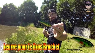 Leurre pour pêcher le gros Brochet  Baby Buster jerkbait CWC  GoPro HD [upl. by Nixon729]