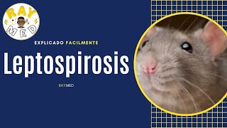 Leptospirosis [upl. by Adnalra]