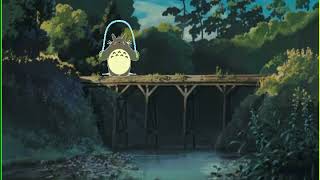 Relaxing Music  Hayao Miyazaki  Joe Hisaishi  Water Sounds  Sleep Music [upl. by Lennad]