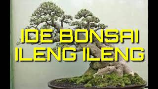 Ide Bonsai Ileng Ileng [upl. by Garreth]