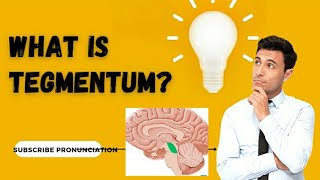 What is Tegmentum  Ventricular system  Tectum  Midbrain  Pronunciation [upl. by Erma]