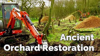 Ancient Orchard and Meadow Restoration  Yorkshire  England  4K [upl. by Munmro301]