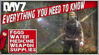 The only DayZ beginners guide youll probably ever need  How to find food medicine etc [upl. by Seaden177]