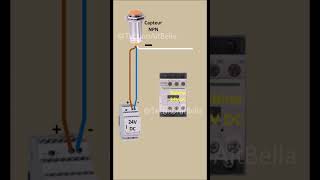 Capteur de proximité capacitif NPN Capacitive Proximity Sensor electric electricalwork shortvideo [upl. by Yslek]