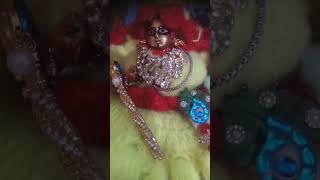 aise Bhole bankar hai baithe jaise koi baat nahinradheradhe jai Shree Krishna [upl. by Nnylram761]