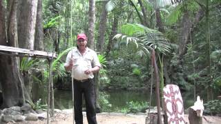 Secrets of the Daintree Rainforest Queensland Australia with Aboriginal Guide [upl. by Sosna]