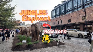 Elephant display in New York [upl. by Burwell395]