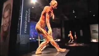 BODY WORLDS exhibition impressions [upl. by Dranreb468]