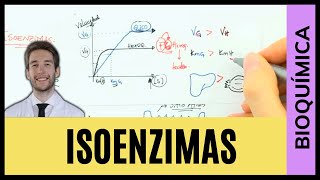 ISOENZIMAS  HEXOQUINASE vs GLICOQUINASE [upl. by Yecac370]