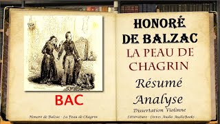 Honoré de Balzac  La Peau de Chagrin Résumé Analyse [upl. by Esinel]