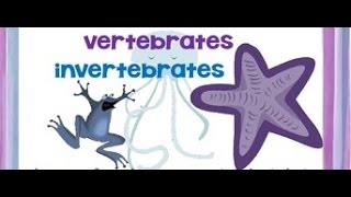 Vertebrates and Invertebrates animals  Video for kids [upl. by Esiuol897]