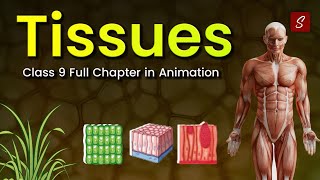 Tissues Class 9 full chapter Animation  Class 9 Science Chapter 6  CBSE  NCERT [upl. by Lyda]