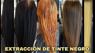 EXTRACCIÓN DE COLOR NEGRO EN CABELLO [upl. by Lidda]