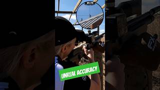 Unreal Airgun Accuracy  FX Dreamline  Best PCP Airguns in the world  FX Airguns [upl. by Adlihtam]