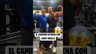 El Campeon Entrena Con Larry Wheels 😱elcampeon larrywheels pressdebanca [upl. by Mat]