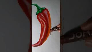 Red Chilli Realistic Drawing  Oil Pastel shorts drawing [upl. by Stefano603]