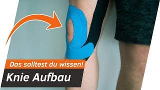 Kniegelenk ERKLÄRT in 10 Minuten  Aufbau und Anatomie  Andiletics [upl. by Neveda]