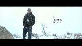 The Birding Project [upl. by Yrral483]