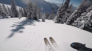 Powder Skiing  Revelstoke British Columbia [upl. by Nitsed]