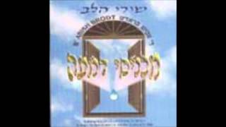 Abish Brodt  Shirei Halev 5 Aderaba [upl. by Norina686]