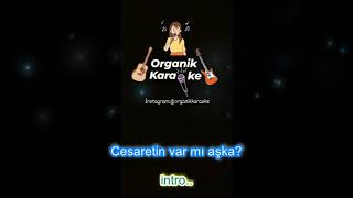 Cesaretin Var mı aşka karaoke [upl. by Starkey566]