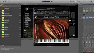 Tutorial Installing Ravenscroft 275 into IK PRO [upl. by Llirret453]