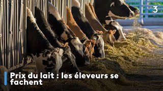 Prix du lait  les éléveurs se fachent [upl. by Bondon143]