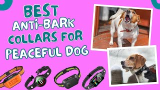 Best Anti Bark Collars For Dogs  Gentle Training Happy Dogs [upl. by Kcirdneked17]