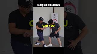 Bajiquan Takedown Application kungfu selfdefense mma [upl. by Mavilia]