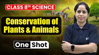 Conservation of Plants and Animals Class 8  Class 8 Science Chapter 7  Class 8th NCERT  eSaral [upl. by Langer237]