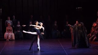 Tamara Rojo  Isaac Hernandez  Black Swan pas de deux  World Ballet Stars Gala New York [upl. by Kciredec]