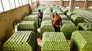 How to Produce Millions of Olive Soap Bar in Traditional Soap Factory  Olive Harvest and Processing [upl. by Anihs977]