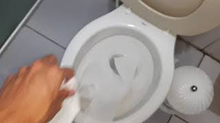 Vaso sanitário LOGASA Zoom  teste de descarga com papel higiênico [upl. by Arhez349]