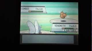 How to find Slakoth and Combee Pokemon Heart gold Soul silver [upl. by Wager]