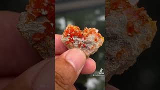 Red wulfenite from China mineral minerals crystals gemstone [upl. by Hamlet374]