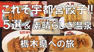 【これぞ宇都宮餃子５選＆素晴らしき温泉 栃木県への旅】宇都宮市で美味しい宇都宮餃子を堪能たくさんある餃子店をすべて回るのは大変、でもそれを解決できるお店を発見 [upl. by Barolet793]