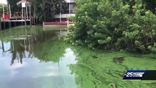 Toxic Puzzle” documentary shown on Treasure Coast [upl. by Aimahs]