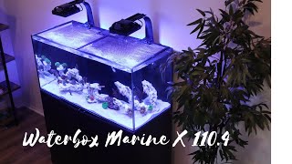 Waterbox Marine X 1104 [upl. by Eedak159]