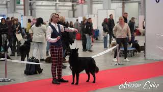 Kielce cacib show 2023 [upl. by Eoz]