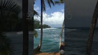 Bocas del Toro surf trip  Dreamy session in Isla Carenero [upl. by Orion413]